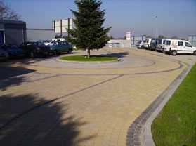 Elte